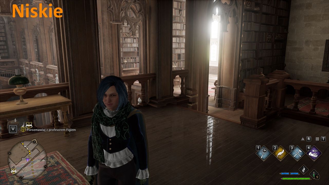 Hogwarts Legacy - ustawienia  niskie