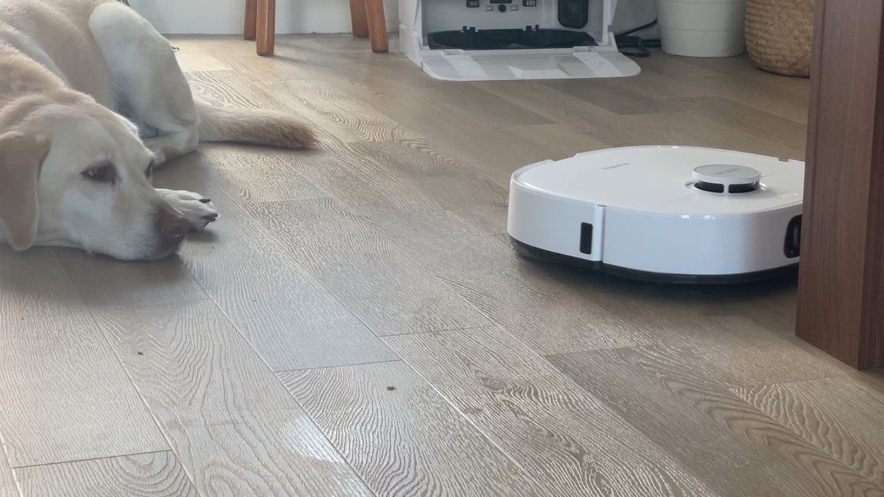 Test Eureka J15 Pro Ultra test odkurzanie na dywanie wysuwany mop przed