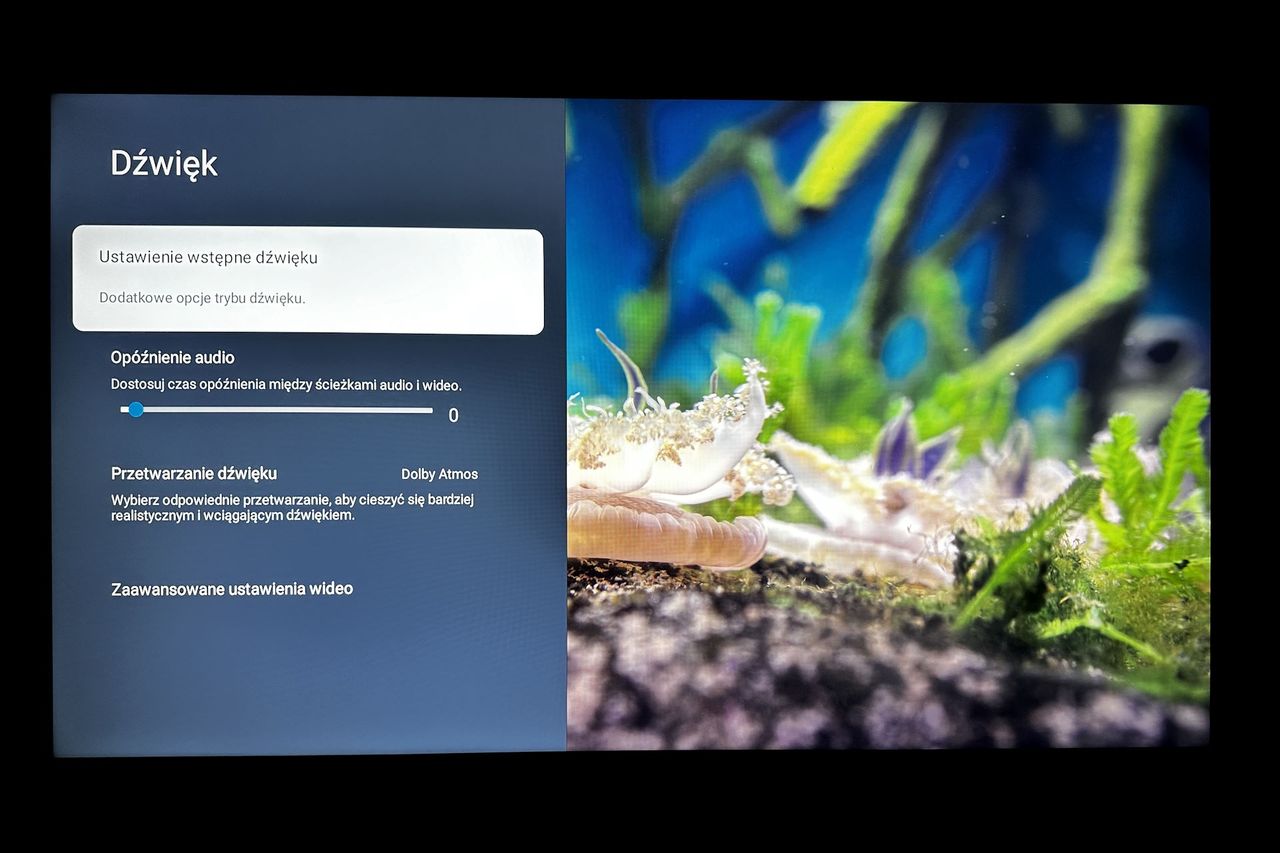 TCL 55C805 - menu dźwieku