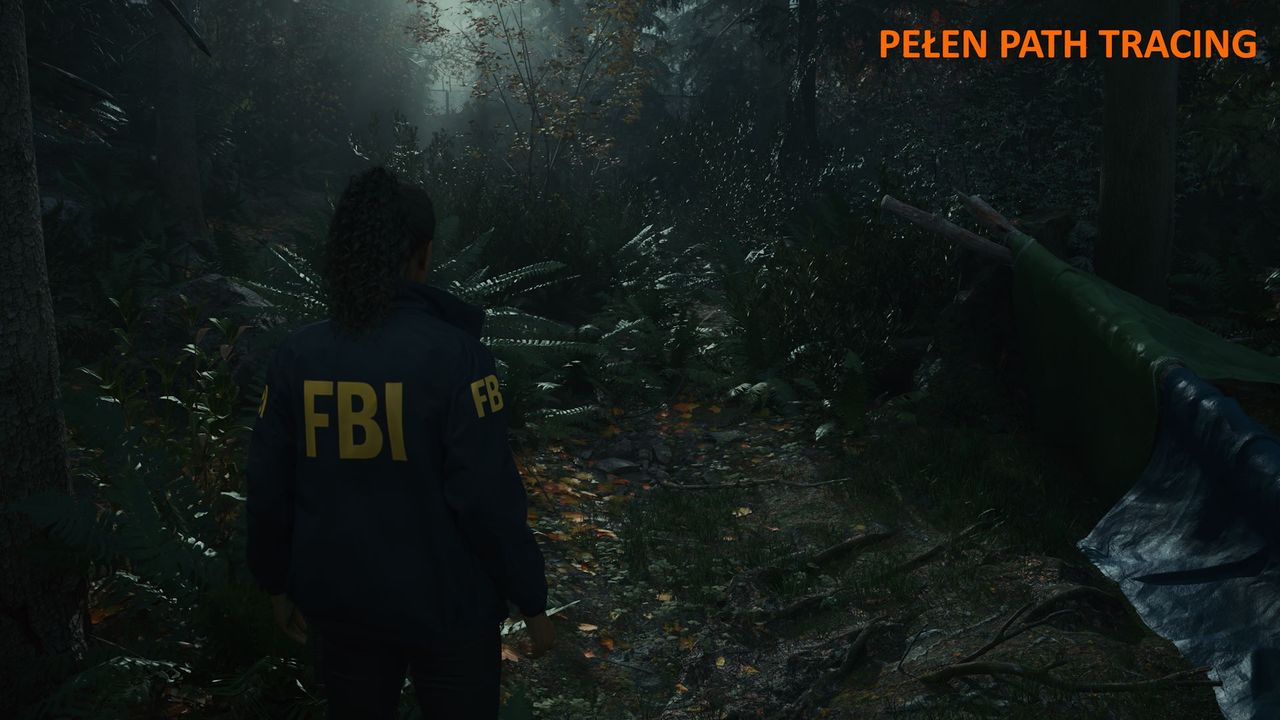 Alan Wake 2 - ustawienia path tracin 3