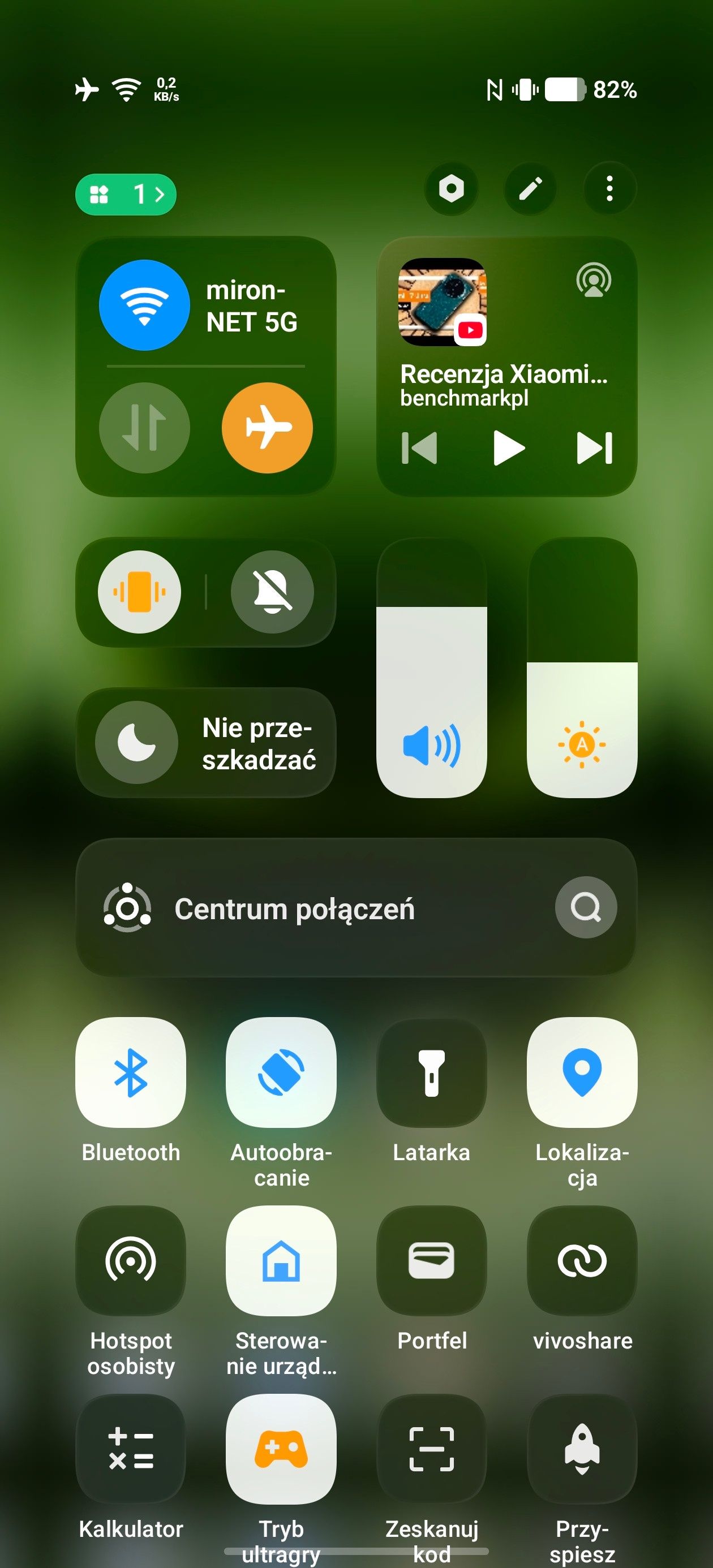 Obraz
