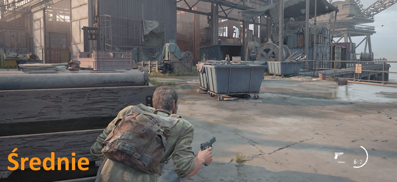 The Last of Us (PC) - detale średnie
