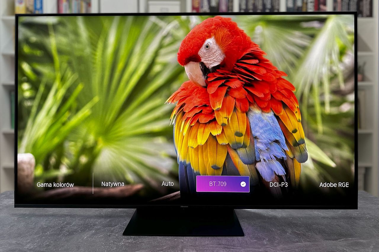 Hisense ULEX X 65UXKQ - kolory sRGB