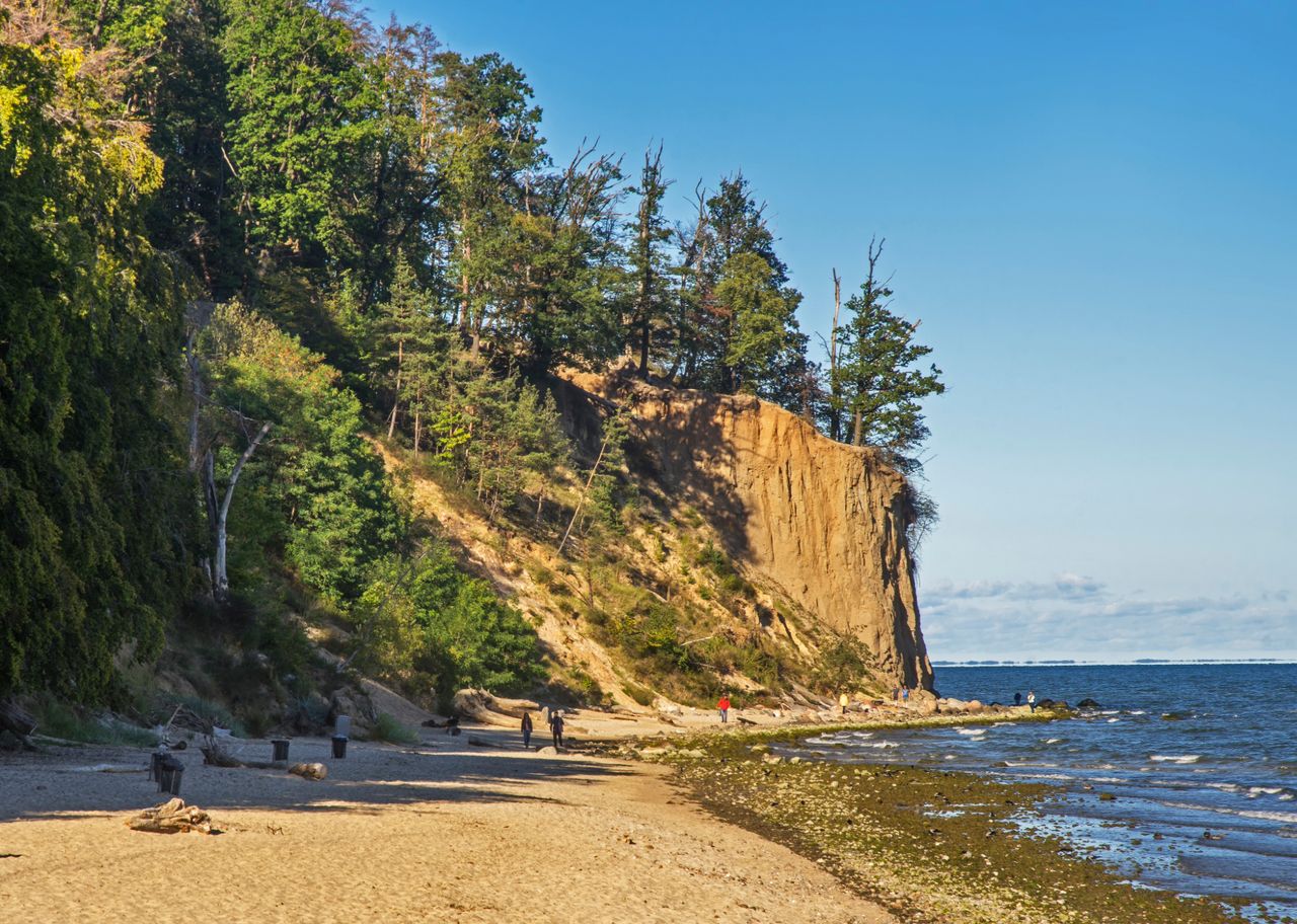 Klif Gdynia-Orłowo