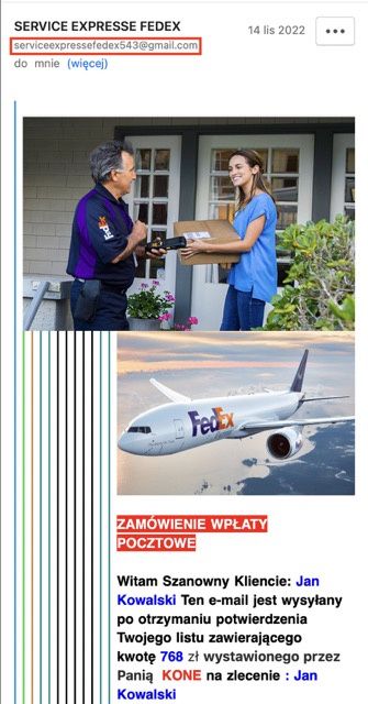 oszustwo w sieci