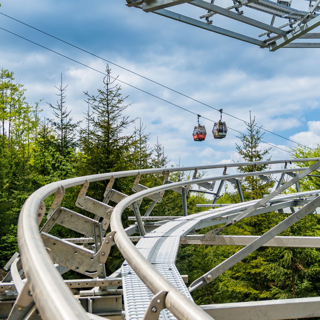 Salamandra Alpine Coaster.