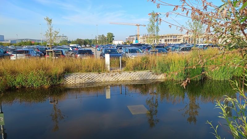 Motorola Edge 40 - kaczki wypoczywające na drugim brzegu