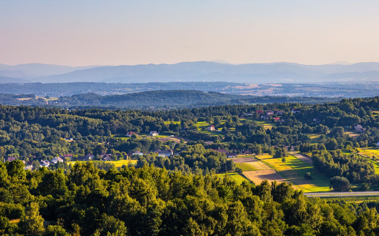 Malownicza panorama Puszczy Dulowskiej i Garbu Tenczyńskiego
