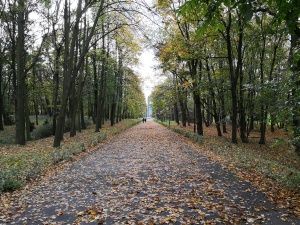 Huawei Mate 10 Pro przykładowe zdjęcie