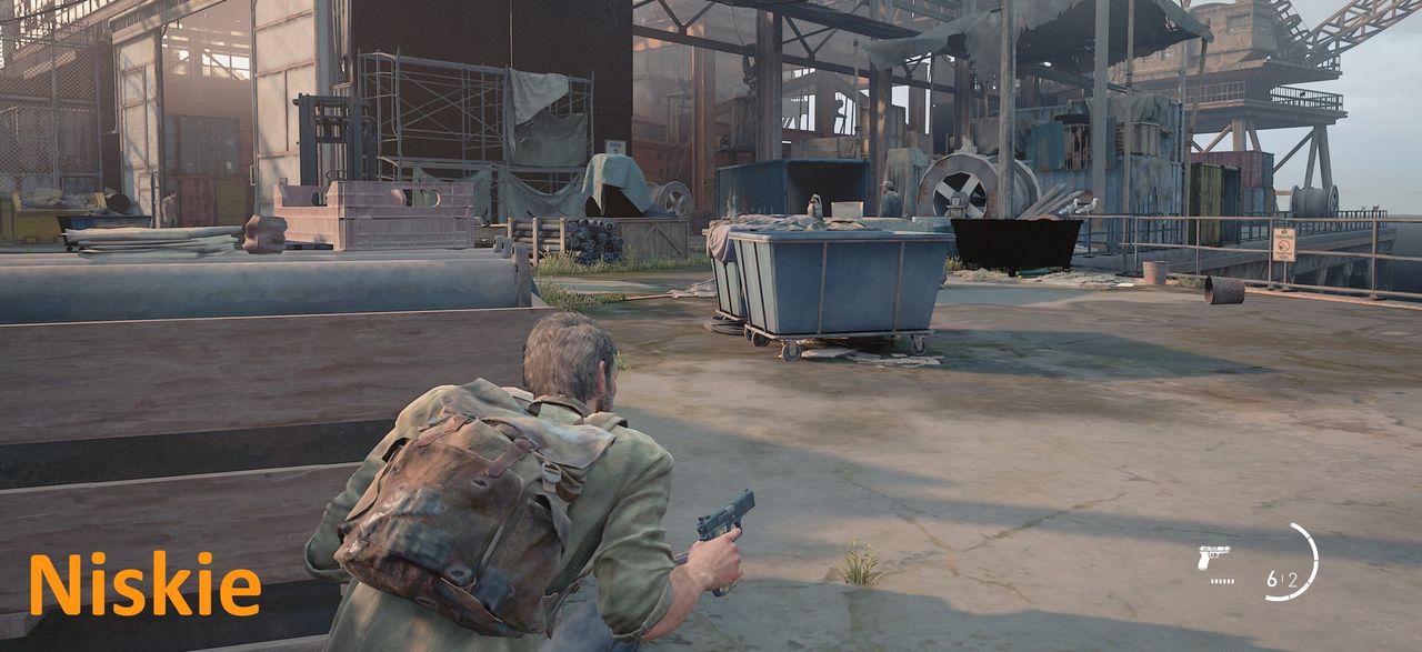 The Last of Us (PC) - detale niskie