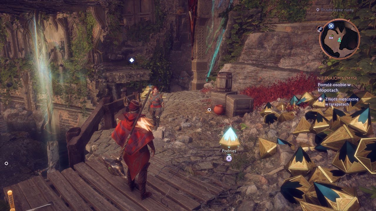 Dragon Age: Straż Zasłony