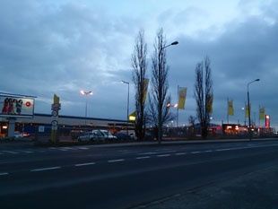 Obraz