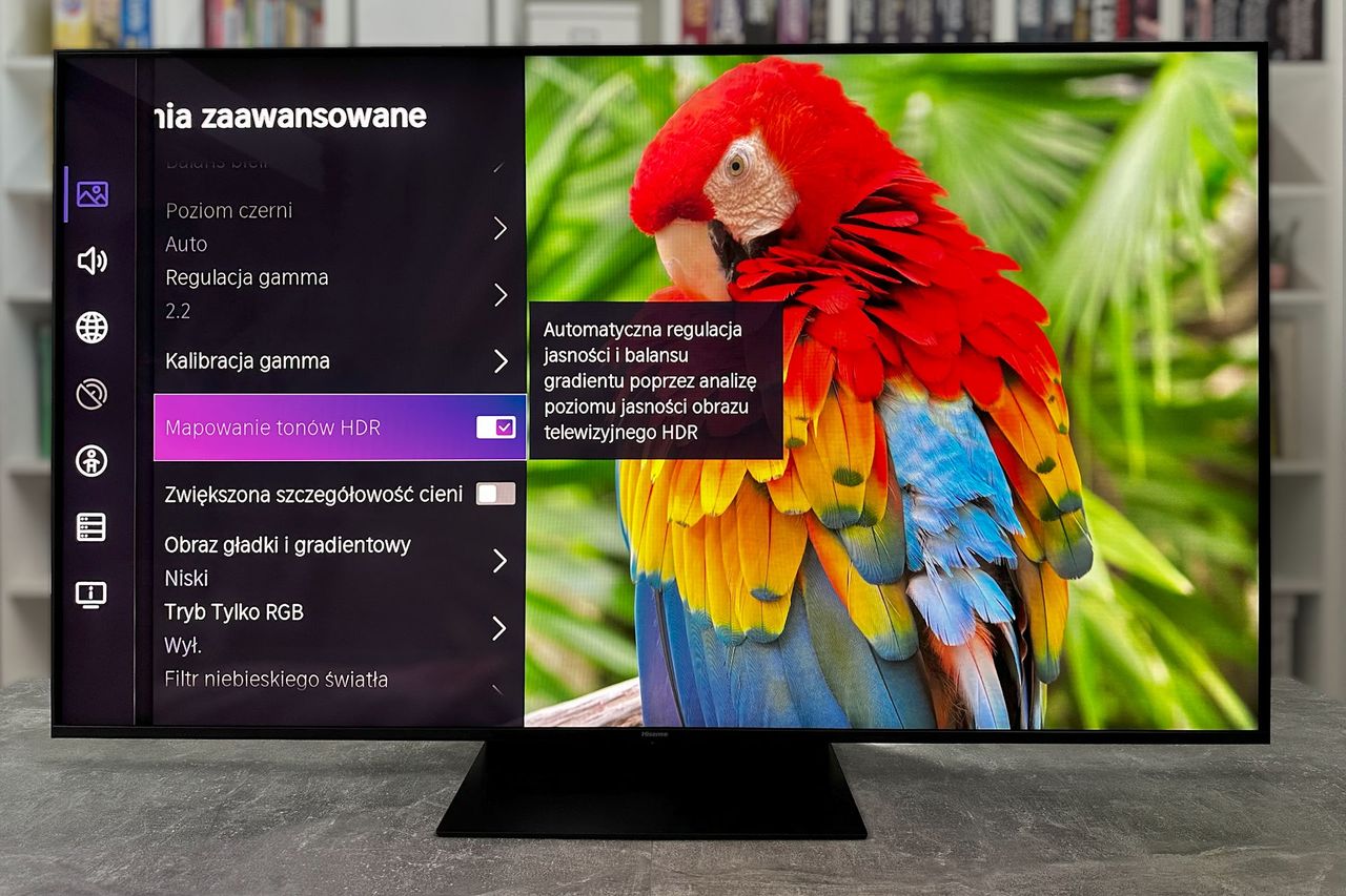 Hisense ULEX X 65UXKQ - ustawienia zaawansowane