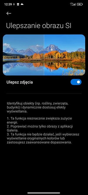 ulepszanie obrazu SI