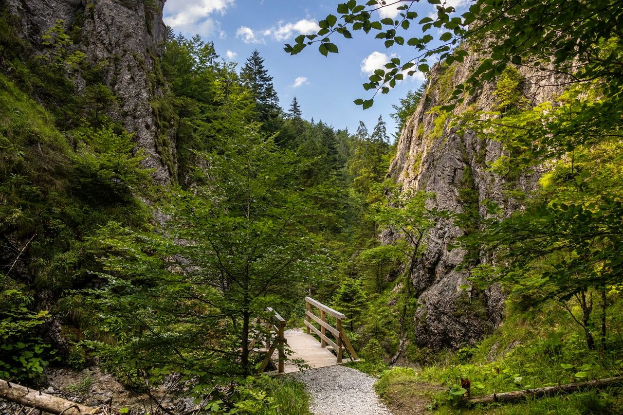 Mostek nad potokiem w Dolinie za Bramką