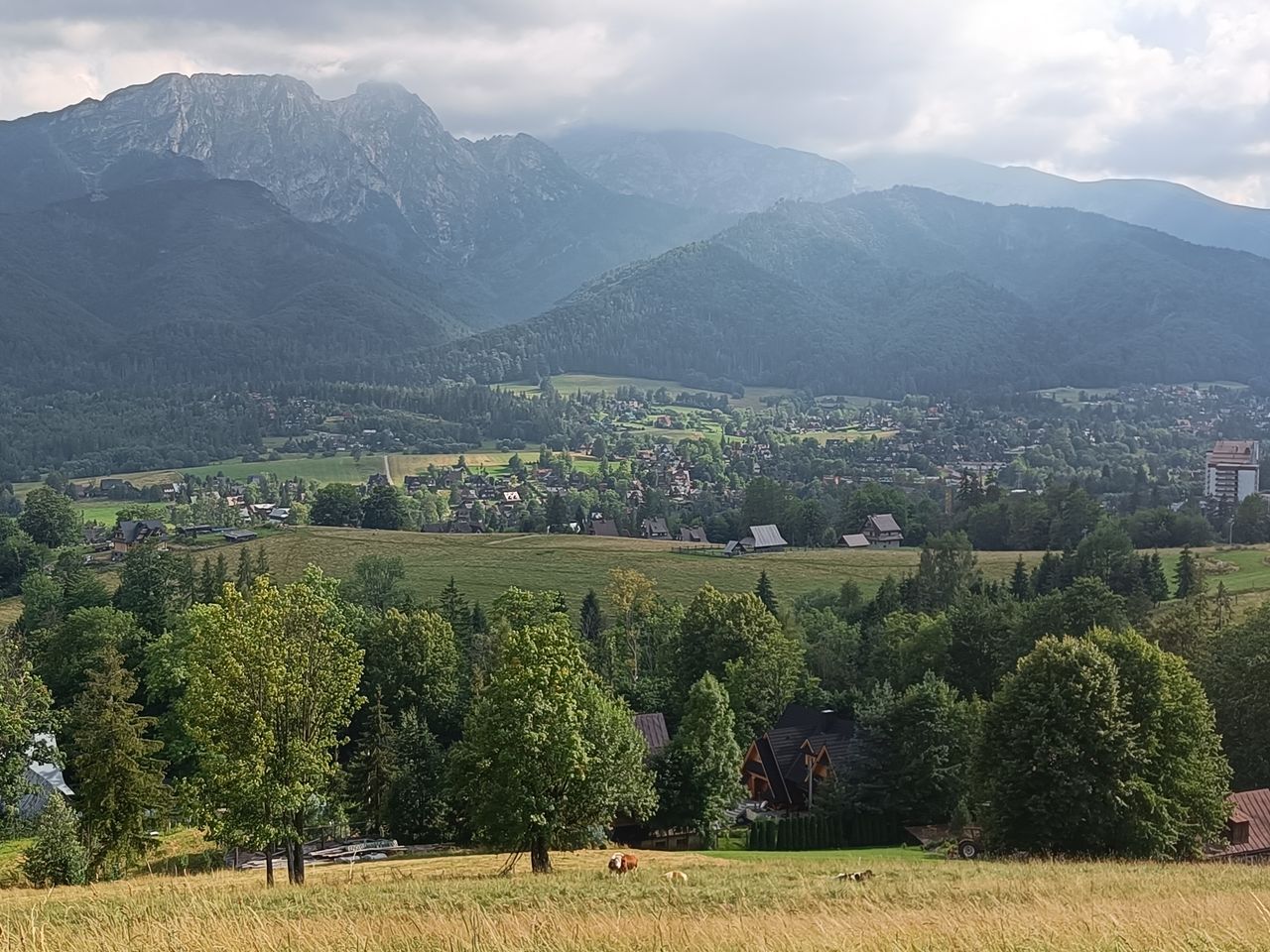 Panorama Zakopanego