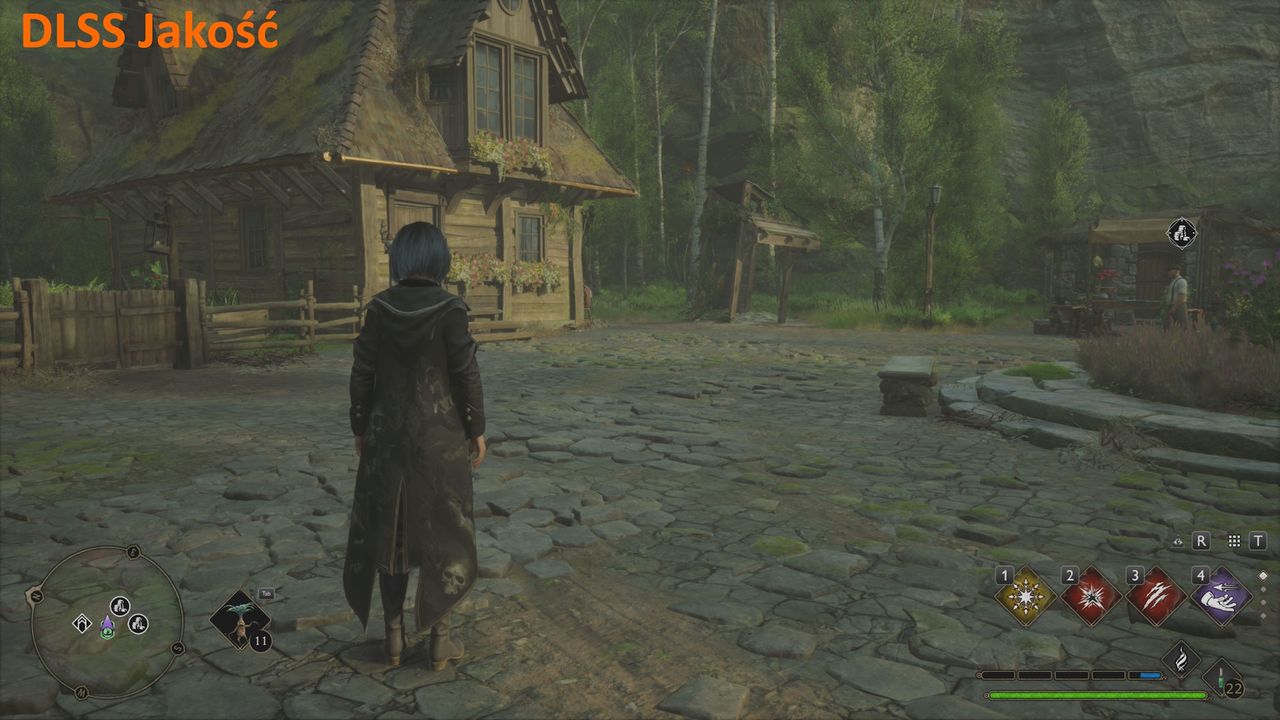 NVIDIA GeForce RTX 5090 Founders Edition - Hogwarts Legacy DLSS