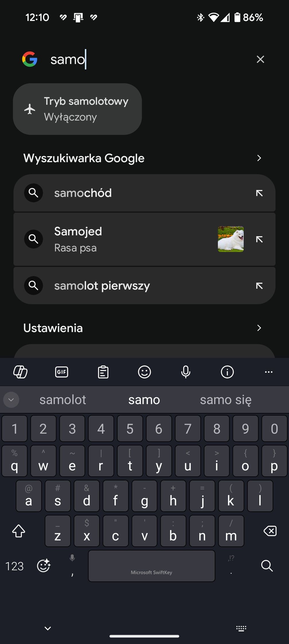 Obraz