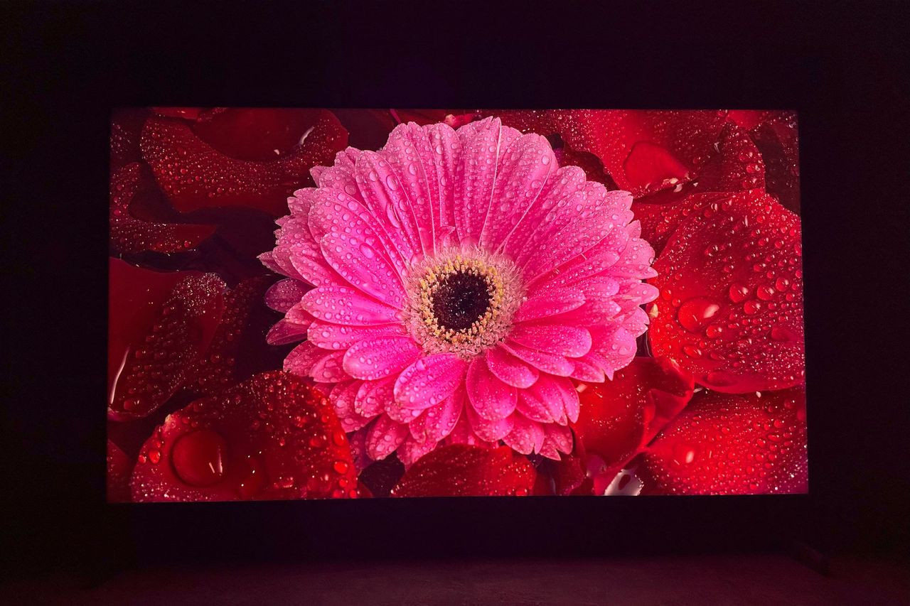 Sony KD-55X85L - nasycenie barw