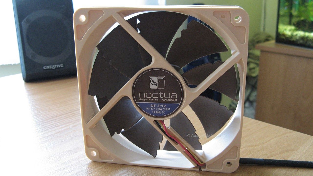 Noctua