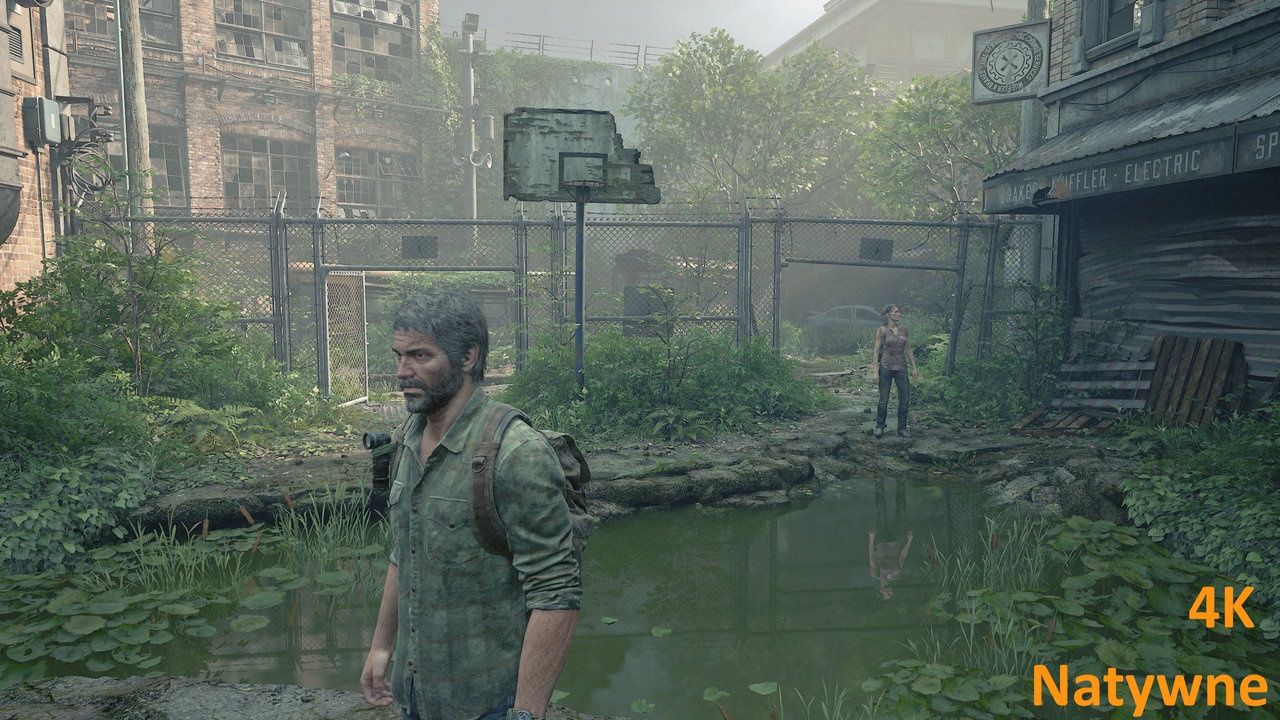 The Last of Us (PC) - natywne UHD