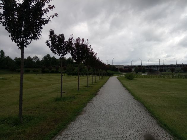 neffos x1 zdjęcie hdr 1