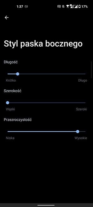 styl paska bocznego
