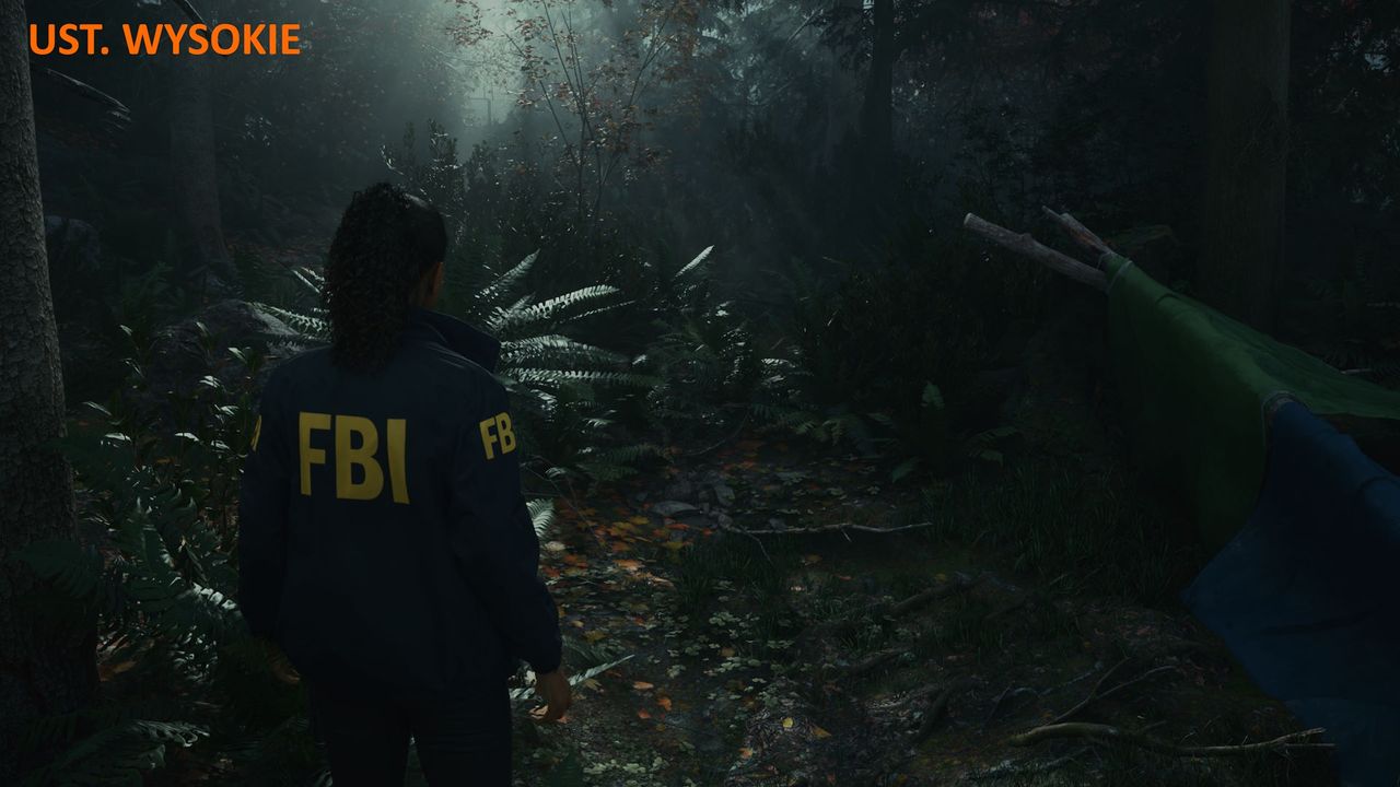 Alan Wake 2 - ustawienia wysokie 3