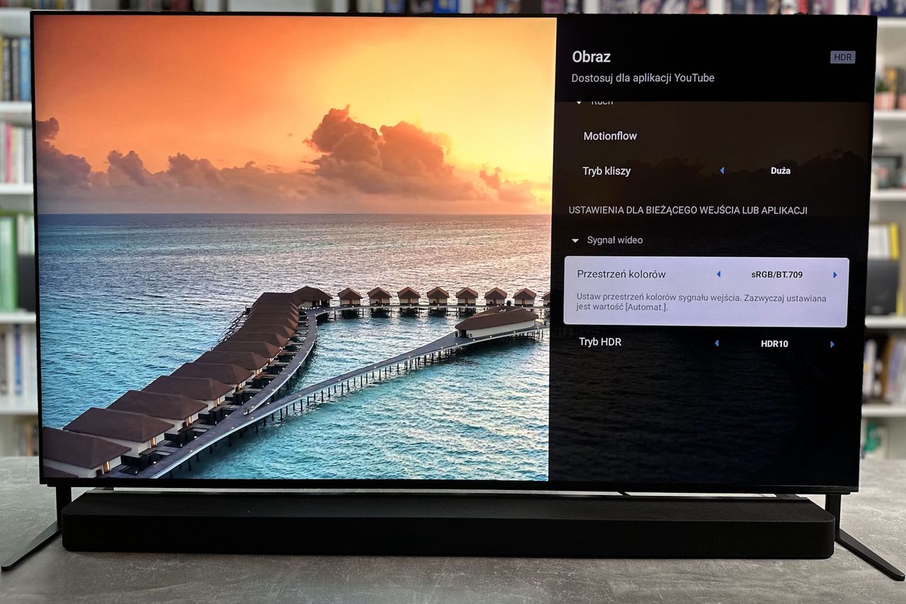 Sony Bravia 9 (65XR90) - ustawienia przestrzeni kolorów - srgb