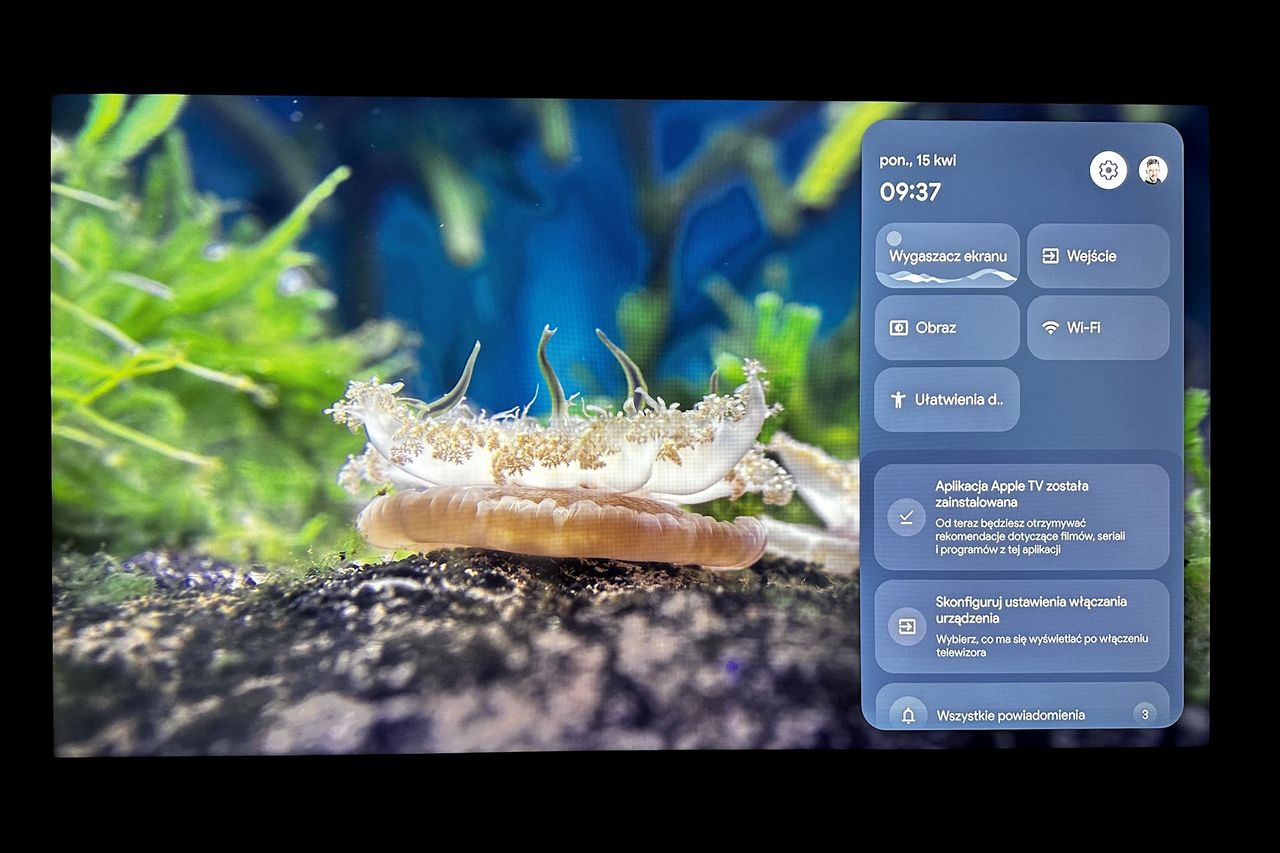 TCL 55C805 - menu użytkownika