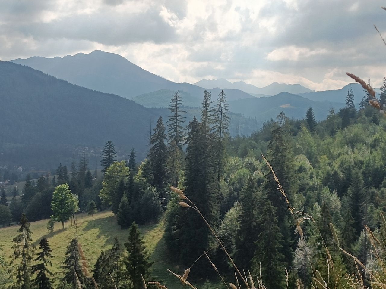 Górski krajobraz ze szlaku