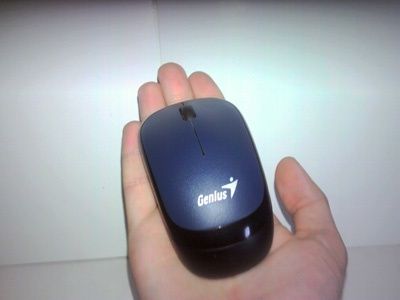 Obraz