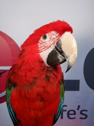 Kliknij aby powiększyć zdjęcia