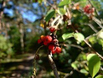 Sony Xperia 1 III przykładowe zdjęcie