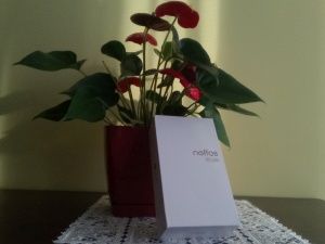 TP-Link Neffos X1 Lite aparat przedni