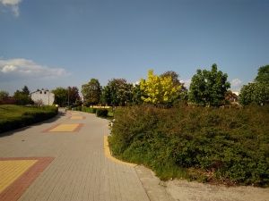 Asus ZenFone Live (ZB501KL) aparat główny