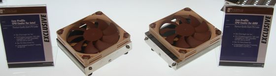 Noctka cooler Low Profile prototyp zdjęcie
