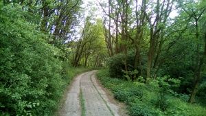 Telefunken Outdoor LTE aparat główny