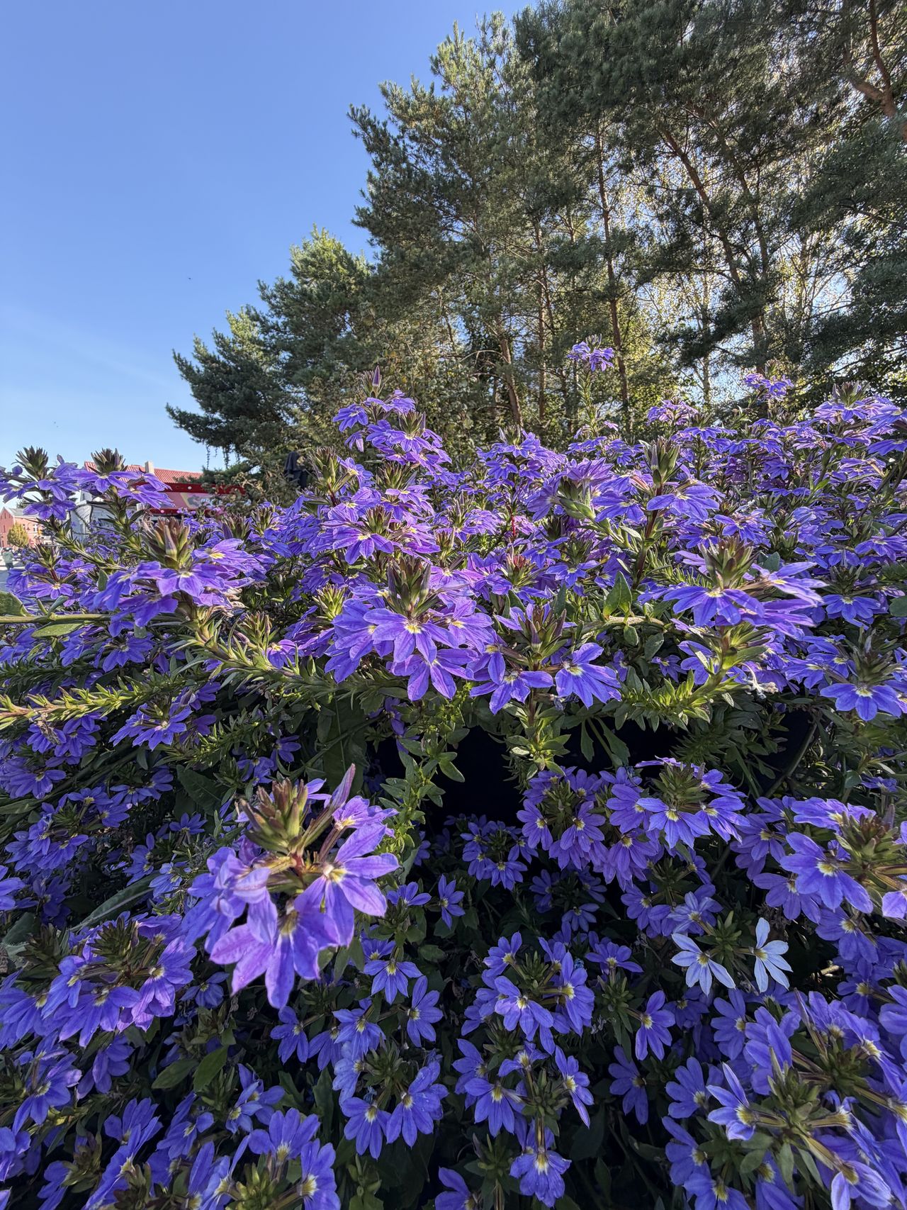 iPhone 17 test