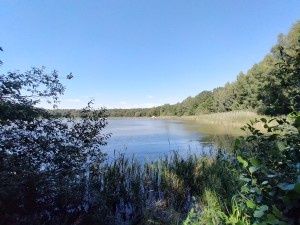 Oppo A72 przykładowe zdjęcie