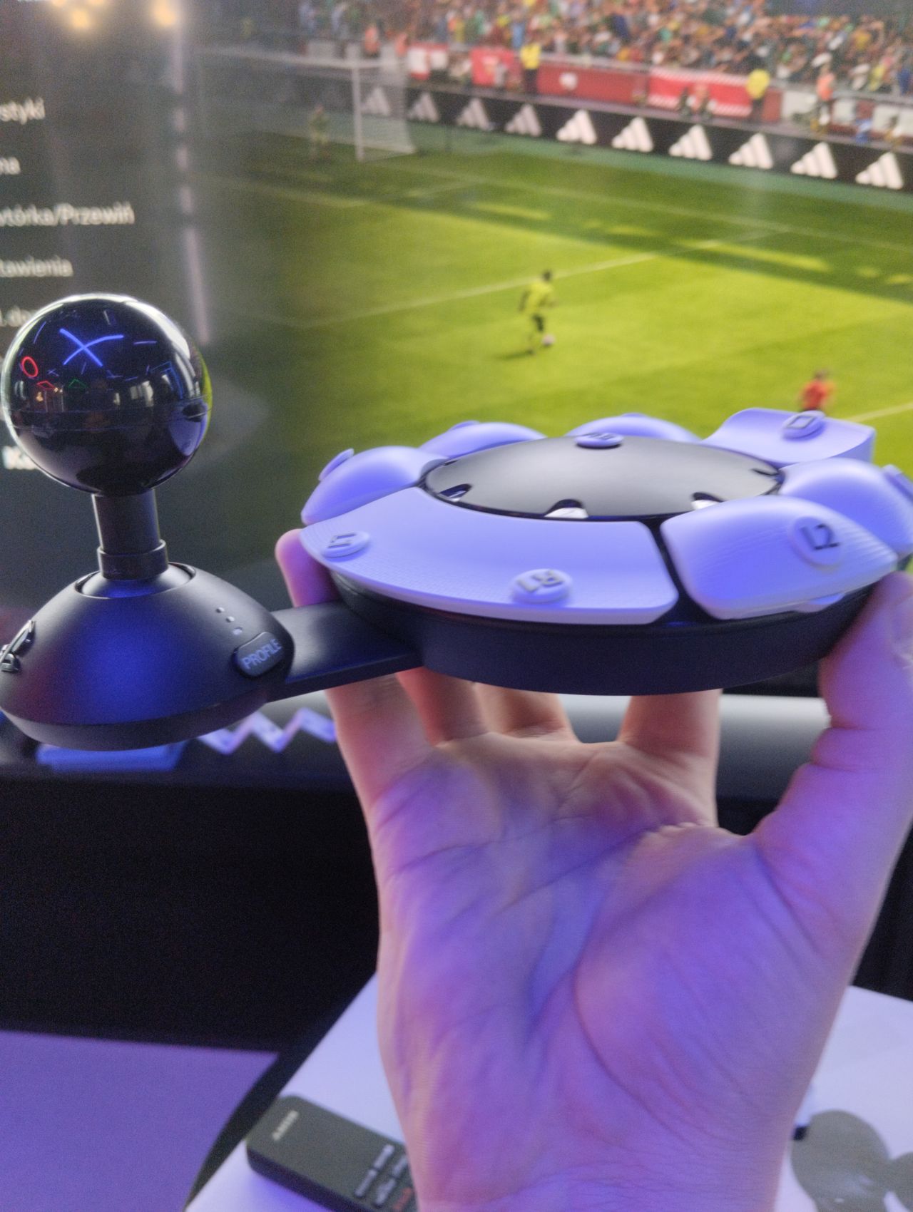 PlayStation Access