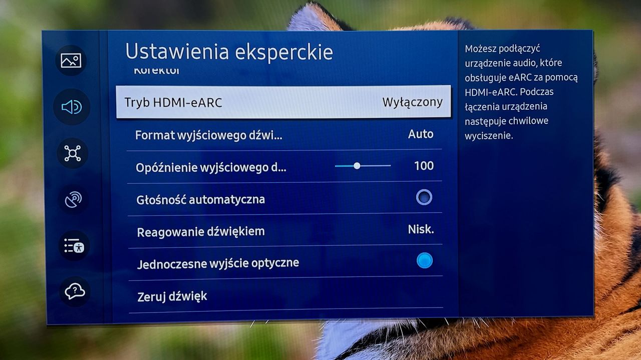 Samsung QLED 65Q77C - ustawienia dźwieku