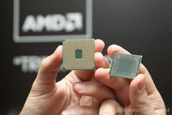 AMD APU Trinity tył