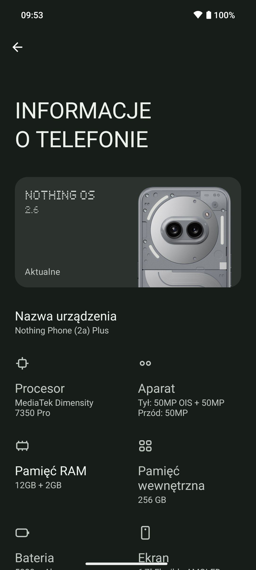Obraz