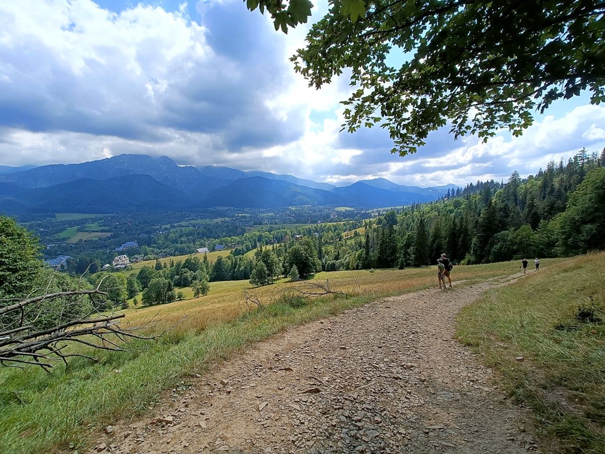 Trasa na Gubałówkę z widokiem na Tatry