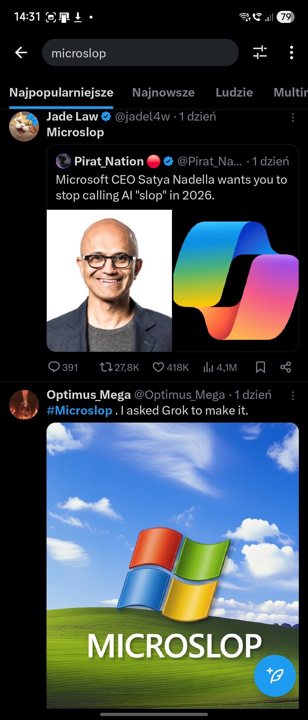 Obraz