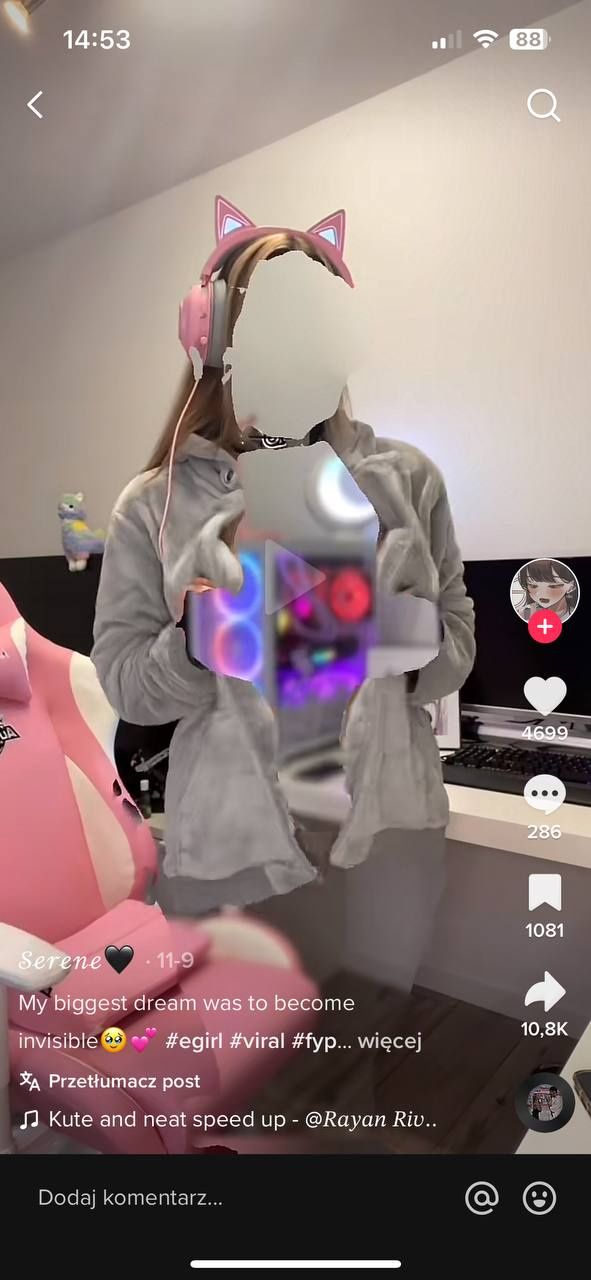 TikTok Invisible Challenger