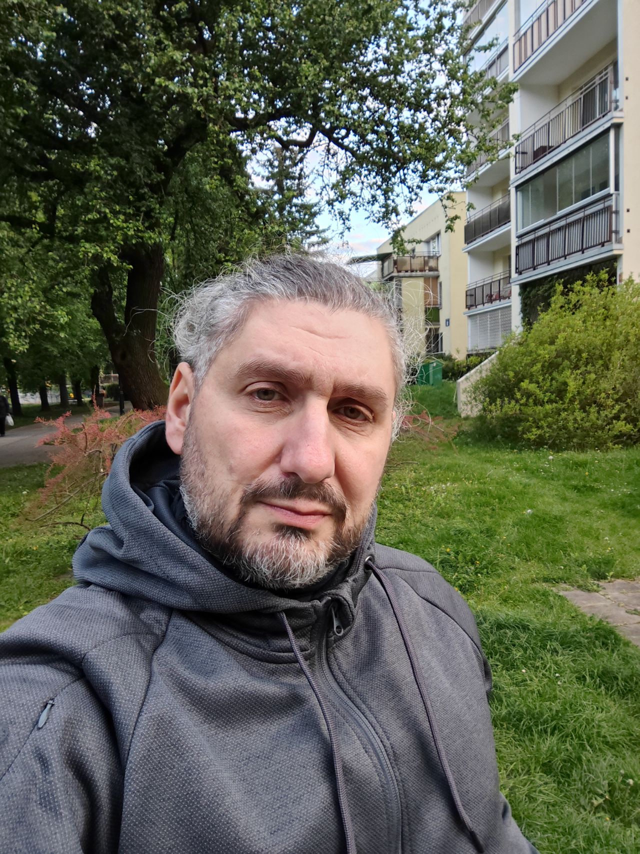 Obraz