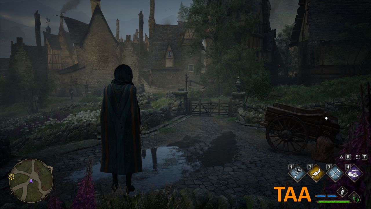 Hogwarts Legacy - TAA