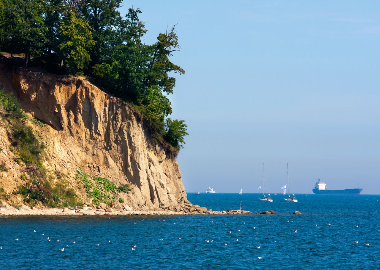 Klif Gdynia-Orłowo